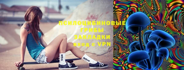 МДПВ Алзамай