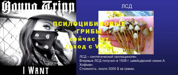 МДПВ Алзамай