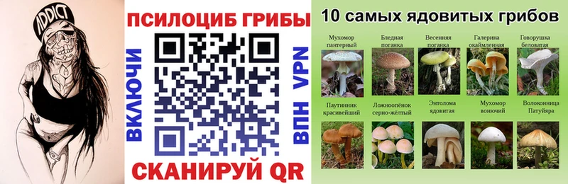 Псилоцибиновые грибы MAGIC MUSHROOMS  как найти закладки  Поронайск 